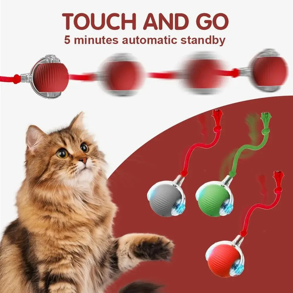 New Cat Interactive Ball Toy,Automatic Rolling Cat Ball Rechargeable,Smart Kitten Interactive Toy,Intelligent Balls Toy for Cat